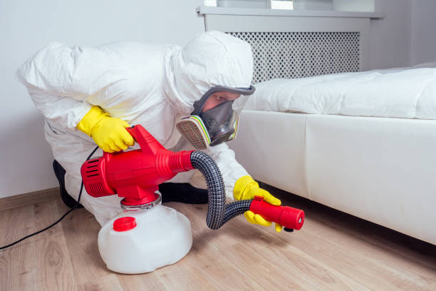 Best Affordable Pest Control Services  in Munster, IN