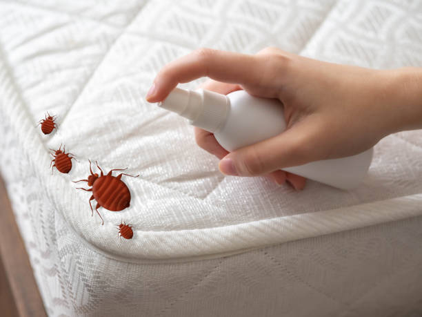 Professional Pest Control in Munster, IN