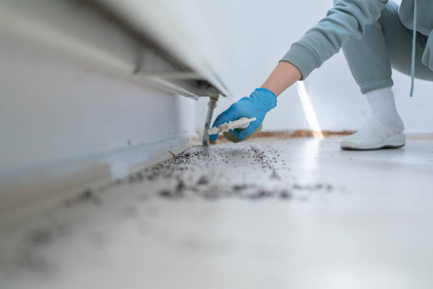 Best Affordable Exterminators  in Munster, IN